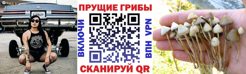 продажа наркотиков  Джанкой  Галлюциногенные грибы мухоморы 